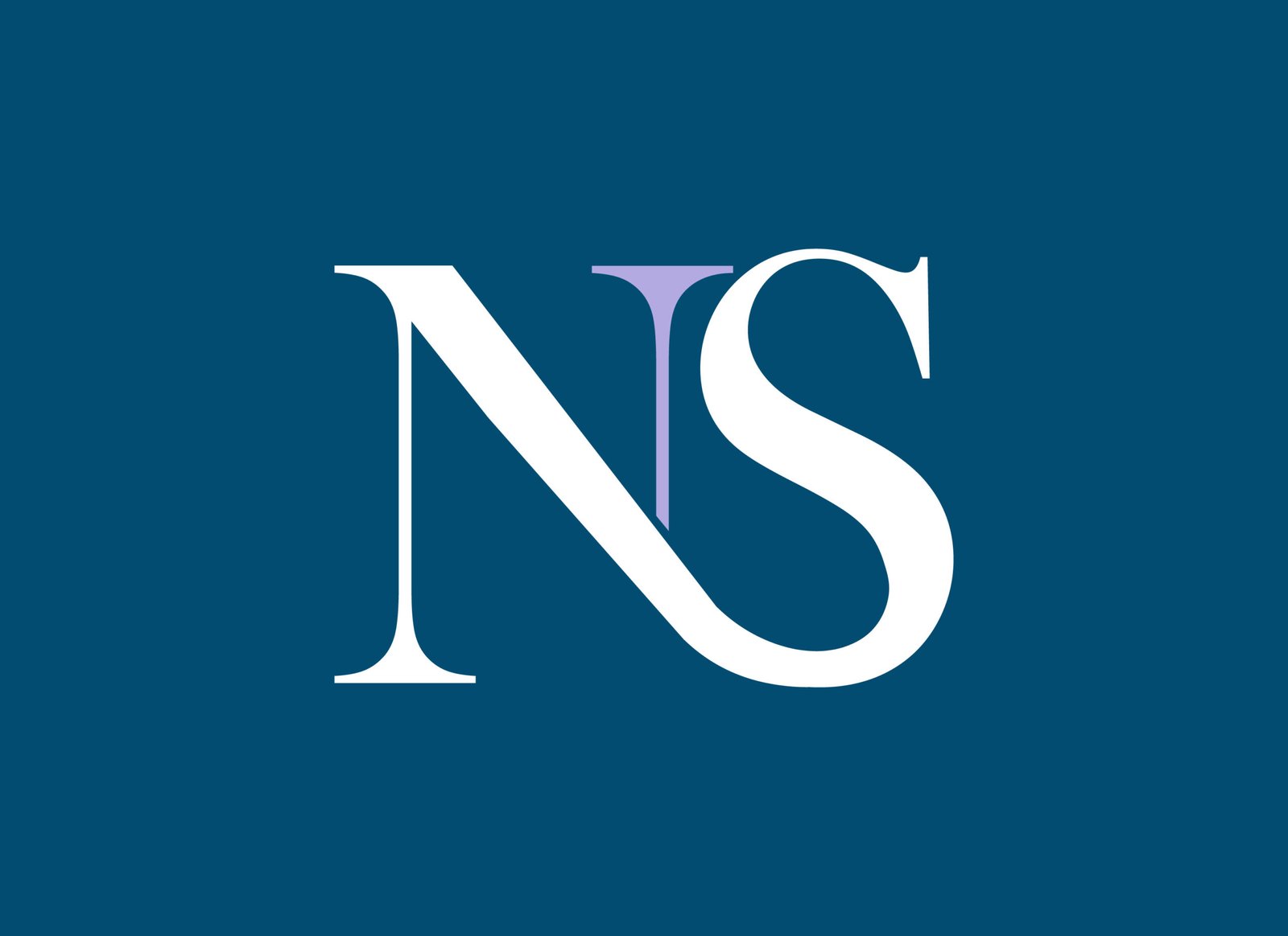 nariman insures logo